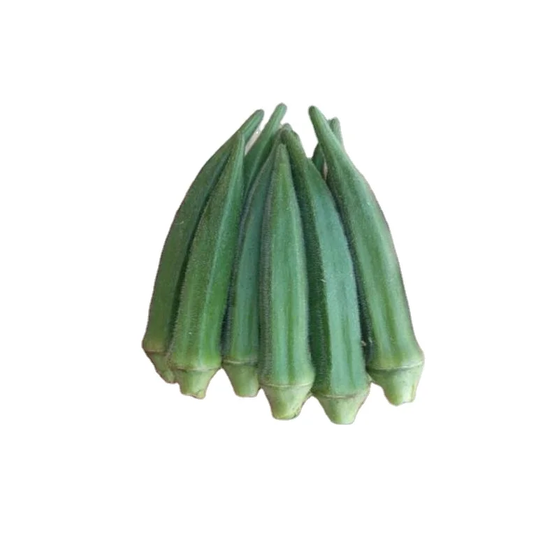Темно-зеленый, Лучшая цена на качественные фрукты для потребления Okra/Okro, темно-зеленые экспортеры из Индии