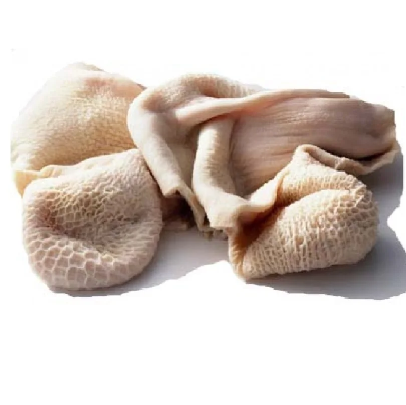 Salted & dried frozen & fresh omasum / beef meat omasum , High Quality Omasum / Omasum Suppliers from France