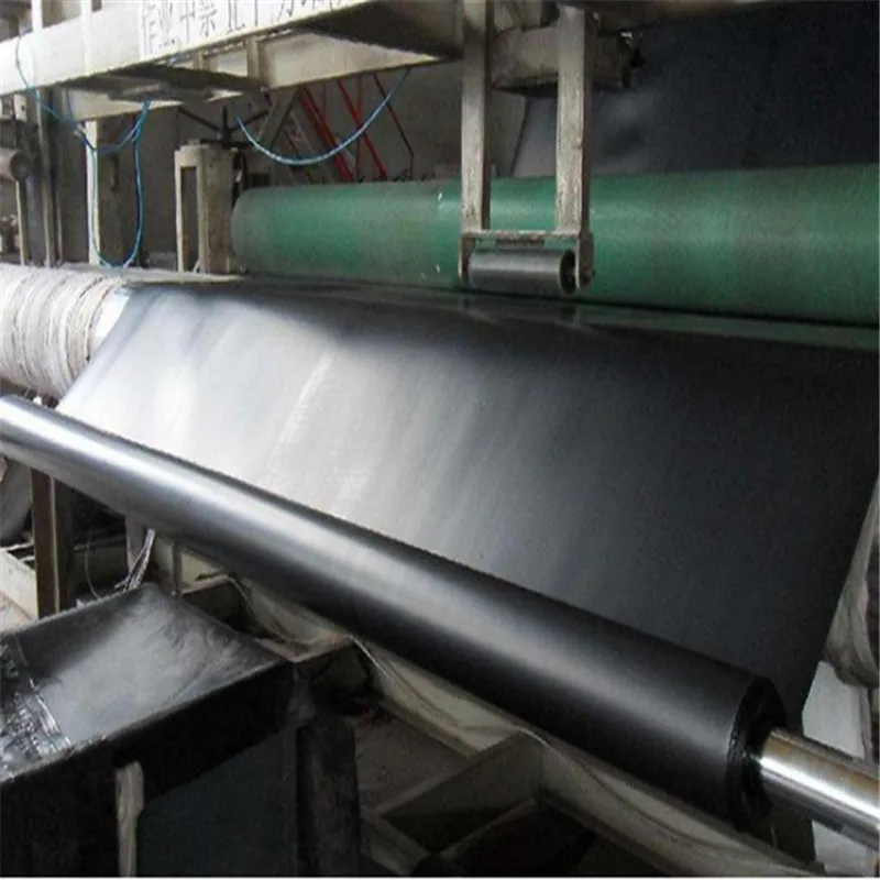 Plastic Geomembranes 0.5 Mm 0.75 Mm 1.0 Mm 1.5 Mm 2.0 Mm 3 Mm HDPE Geomembranes Fish Dam Pond Liner Polyethylene Geomembrane