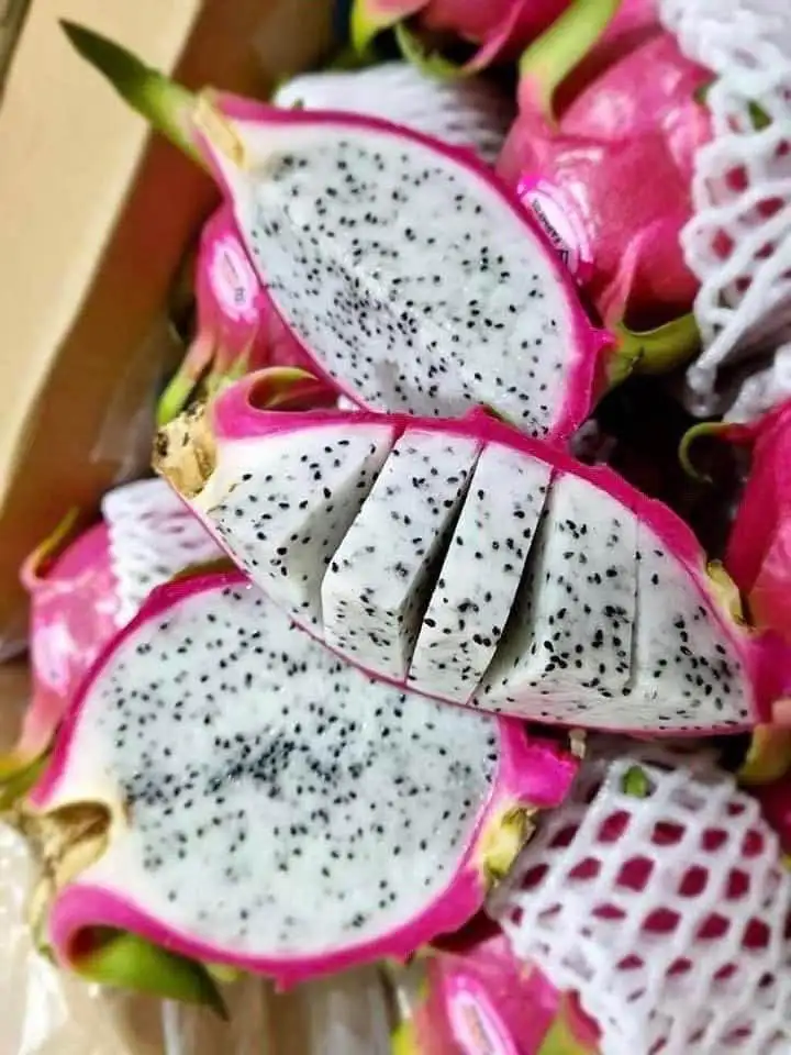 Hot Deal Cheap Price Natural Sweet Red and White Fresh Dragon Fruit Competitive Price Ready Export - ANNA DO WA+84982153058