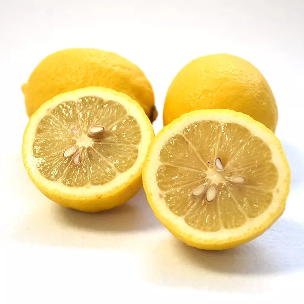 Best Quality Custom Made Wholesale fresh Limen Natural Fresh Lime