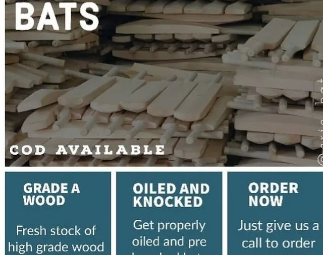 Professional Players High Quality Alum Tanned Leather Cricket Ball English Willow Cricket Bat