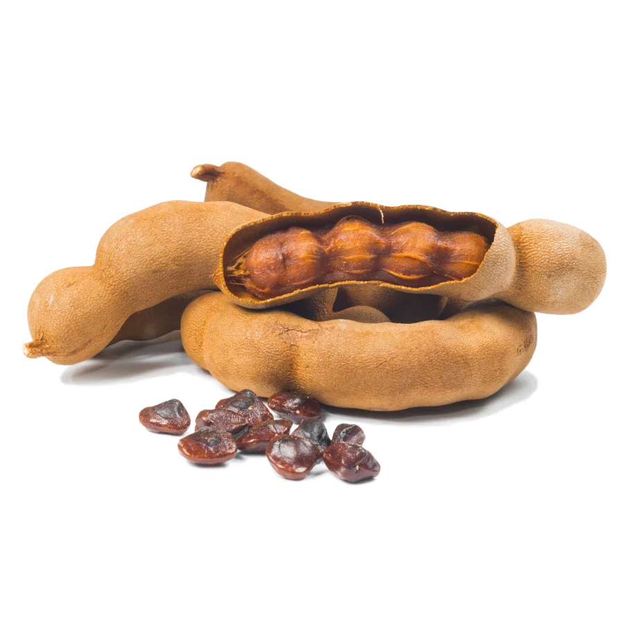 New Arrival 2022 High Quality Fresh Fruits From Viet Nam Fresh Tamarind Factory Price