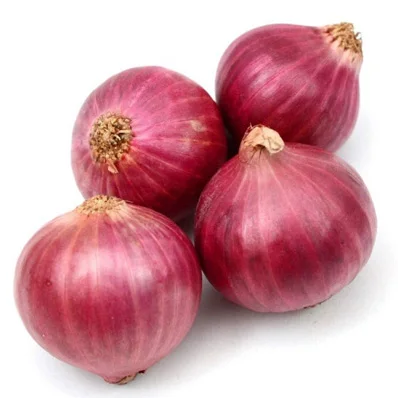 High quality Best Price Fresh Red Onion