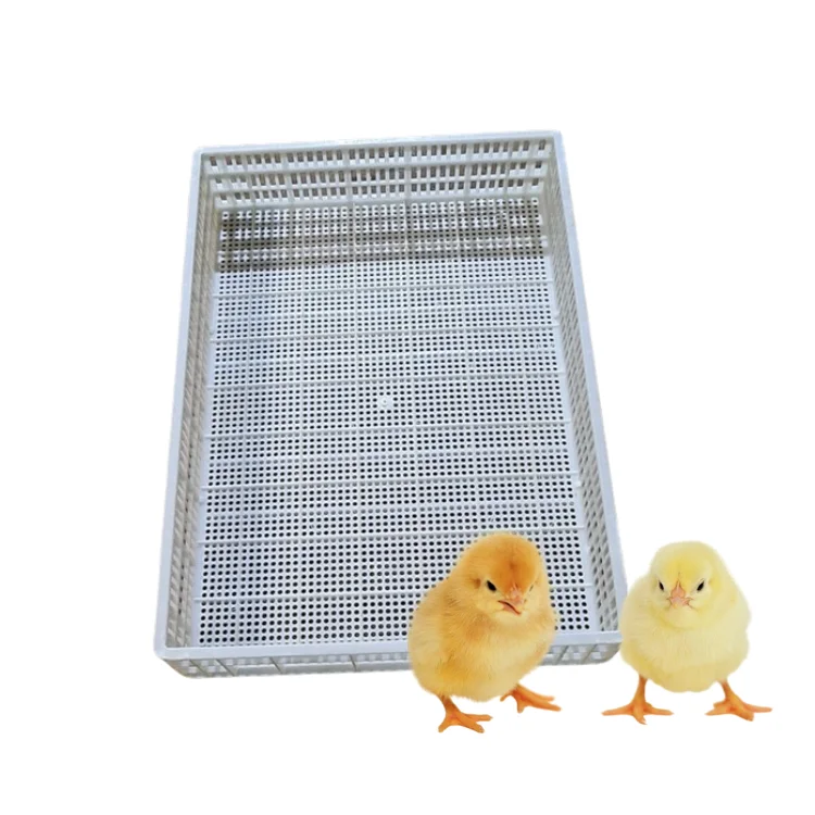 Poultry Plastic Slat Floor Good Price New Design For Duck Poultry Farming Equipment Customization Made In Vietnam Manufacturer