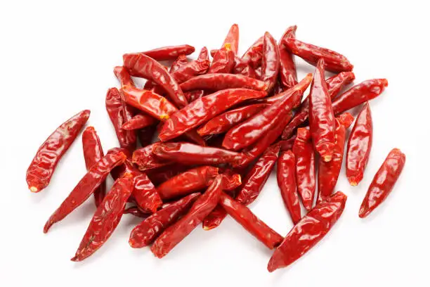 Hot Spicy Wholesale Price Dry Hot Red Chili Teja S17 Original Guntur guntoor Red Dry Chilli
