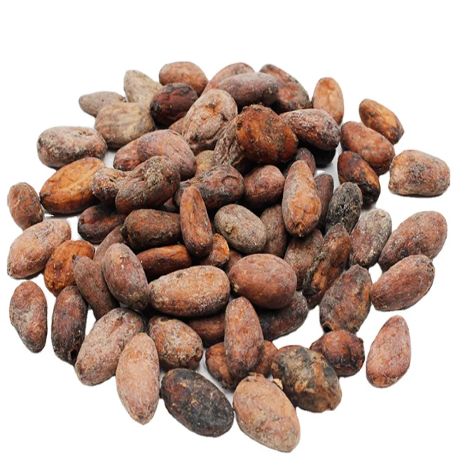 export and import cocoa premium quality High fat cocoa \High Quality Cocoa Beans - Cacao Beans - Chocolate bean