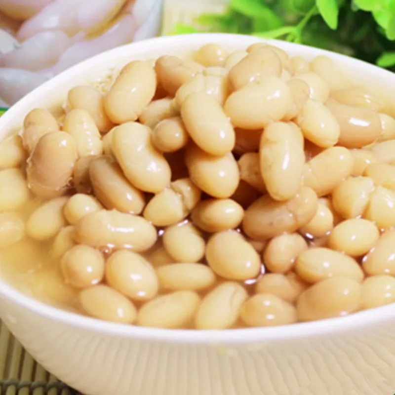 ALDERA Natural Non Gmo Canned White Kidney Beans Cannellini Beans from Turkish Manufacturer