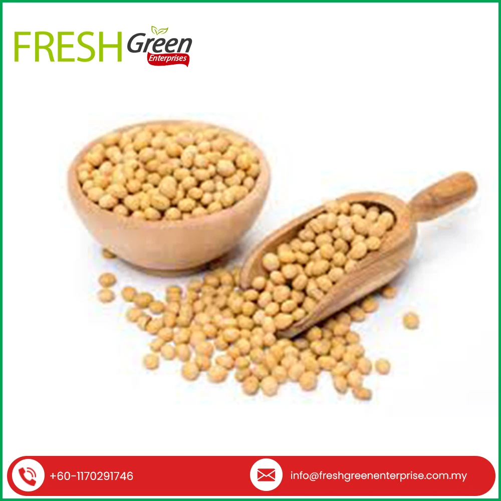 2023 Latest Stock Arrival High Quality Organic Non-GMO Soybeans Available for Sale in Cheap Price