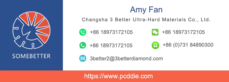 amy-
