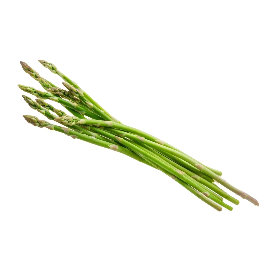 Fresh Baby Asparagus From Thailand Ready to Export Premium Quality Fresh Vegetable Thailand