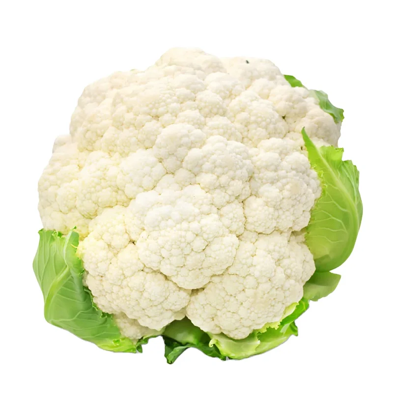 Promotional manufacturer premium grade cheap price cauliflower Agricultural produce fresh cauliflower ready now