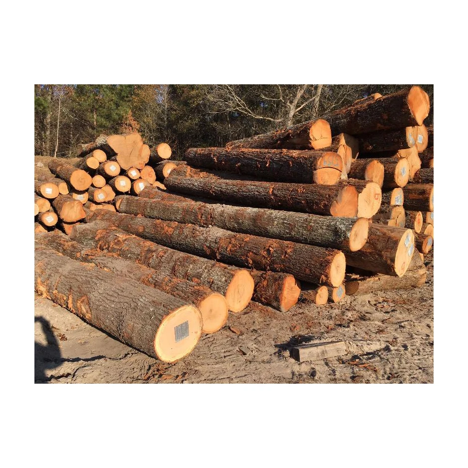 Best Quality Hot Sale Price Kay Eco Logs Wood Briquettes White Ash Kay Briquettes | Pini-kay Wood Briquettes Bulk Buy