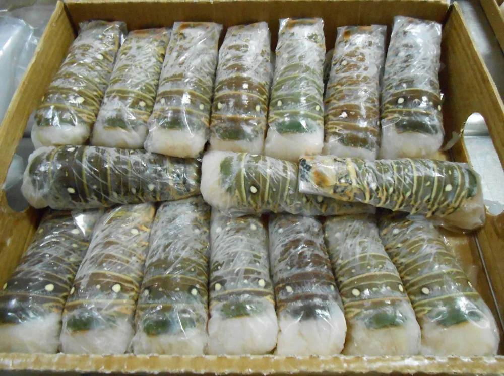 Lobster Tails, Frozen Lobsters, Frozen Shrimps