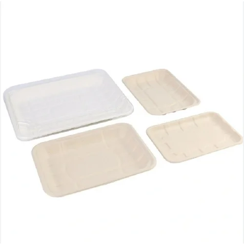 Customized Food Trays Biodegradable Disposable Waterproof and Oil-proof Sugarcane Bagasse Tray for Party