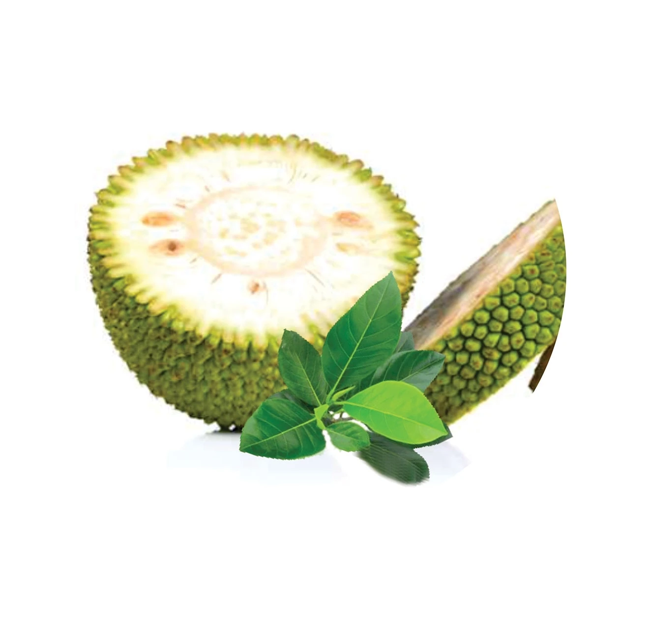 Vietnam Tropical fruit 2022 Fresh Jackfruit Fresh Green Jackfruit Nature tasste Processed Jackfruit Premium Grade