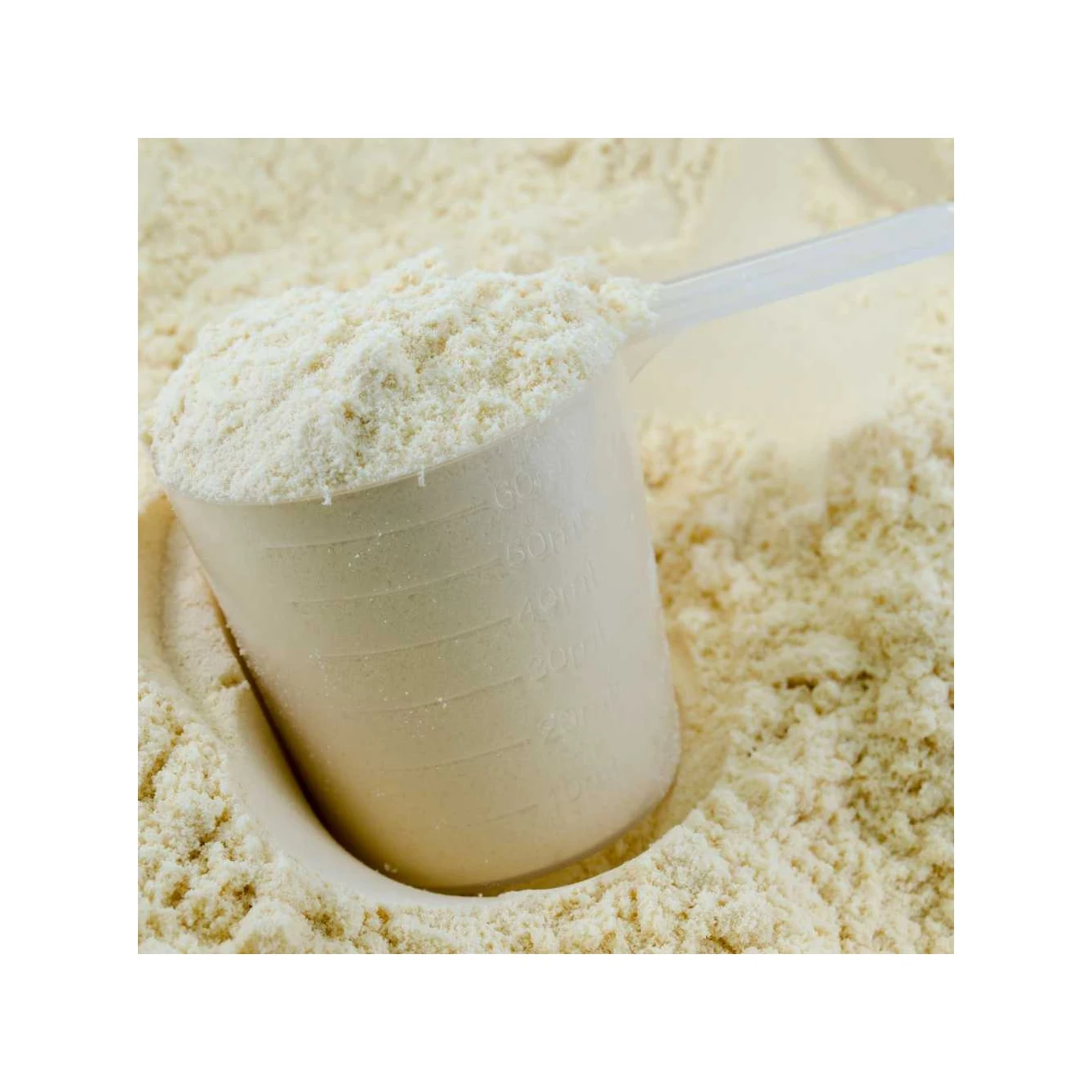 Gold Standard Whey Protein WPI 90% Isolate Whey Protein WPC 80% Concentrate Whey Protein Powder with free samples