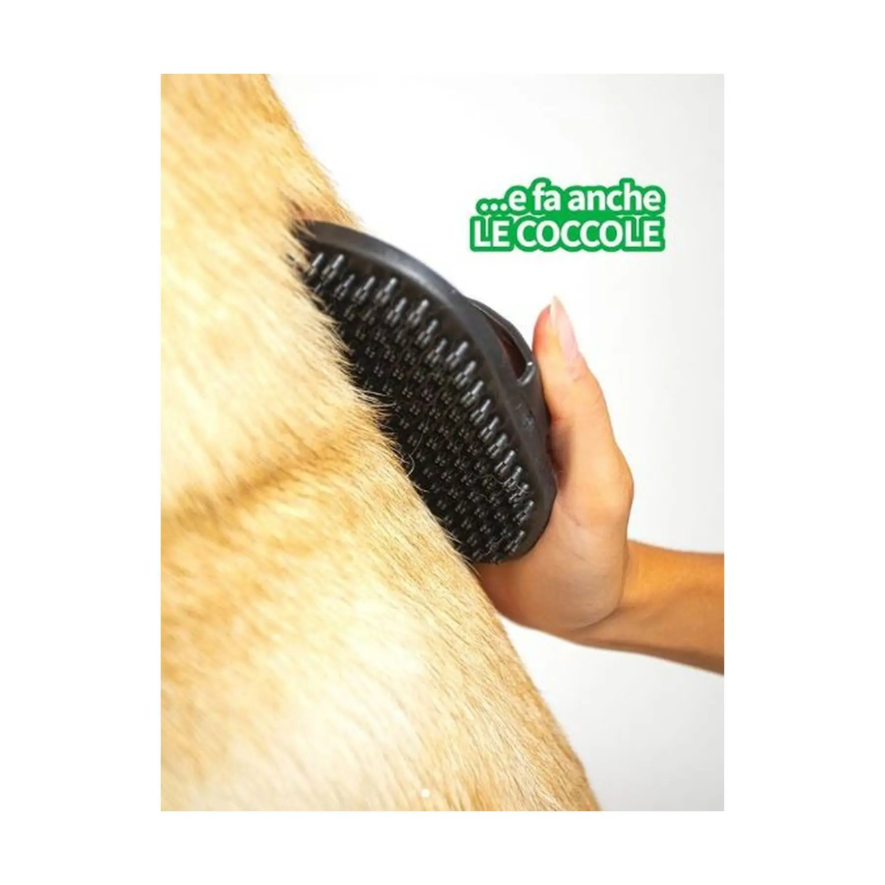Advanced Curry Comb Inodorina - Small Smooth Teeth for Optimal Grooming - Efficiently Remove Excess Hair & Stimulate Skin