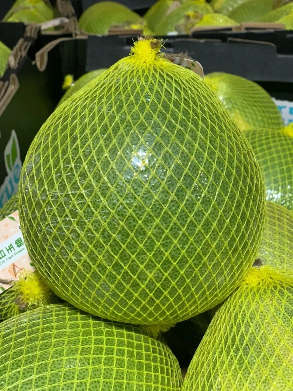 Лучшие вьетнамские Цитрусовые фрукты новый урожай свежий помело вьетнамский грейпфрут зеленая кожа для