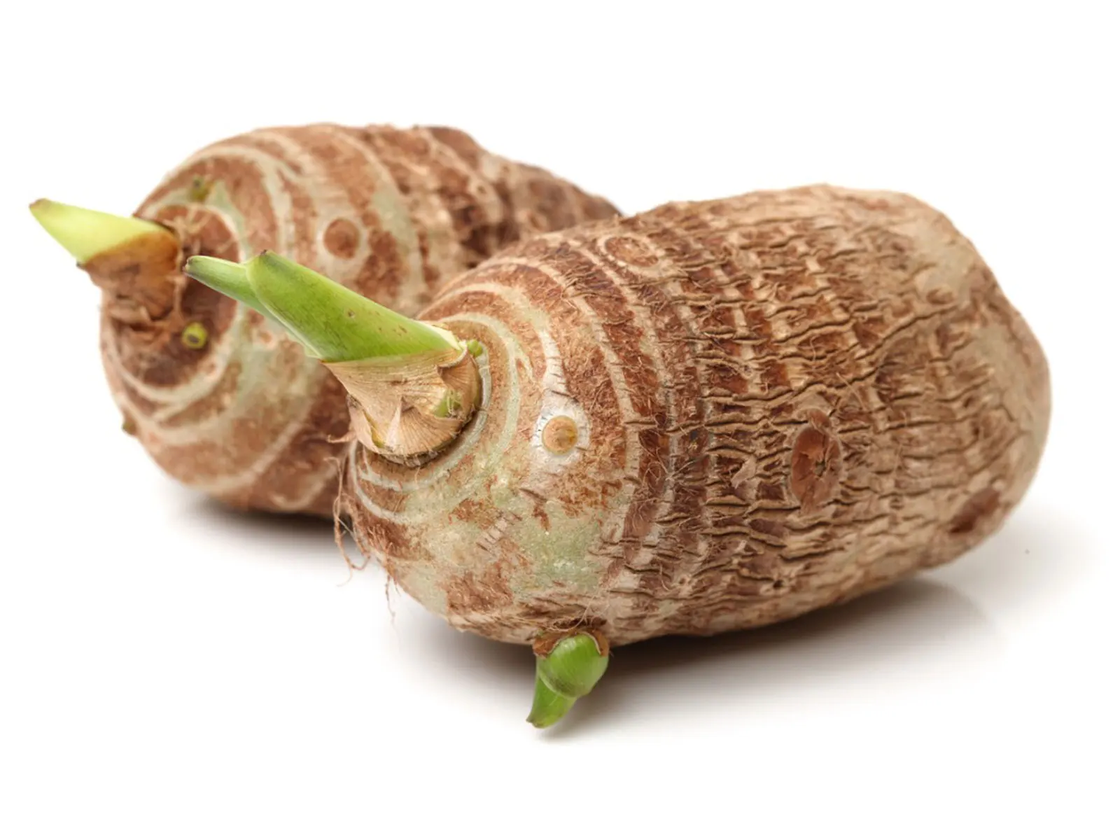Bet Selling Frozen Taro Root Vegetable From India Supplier
