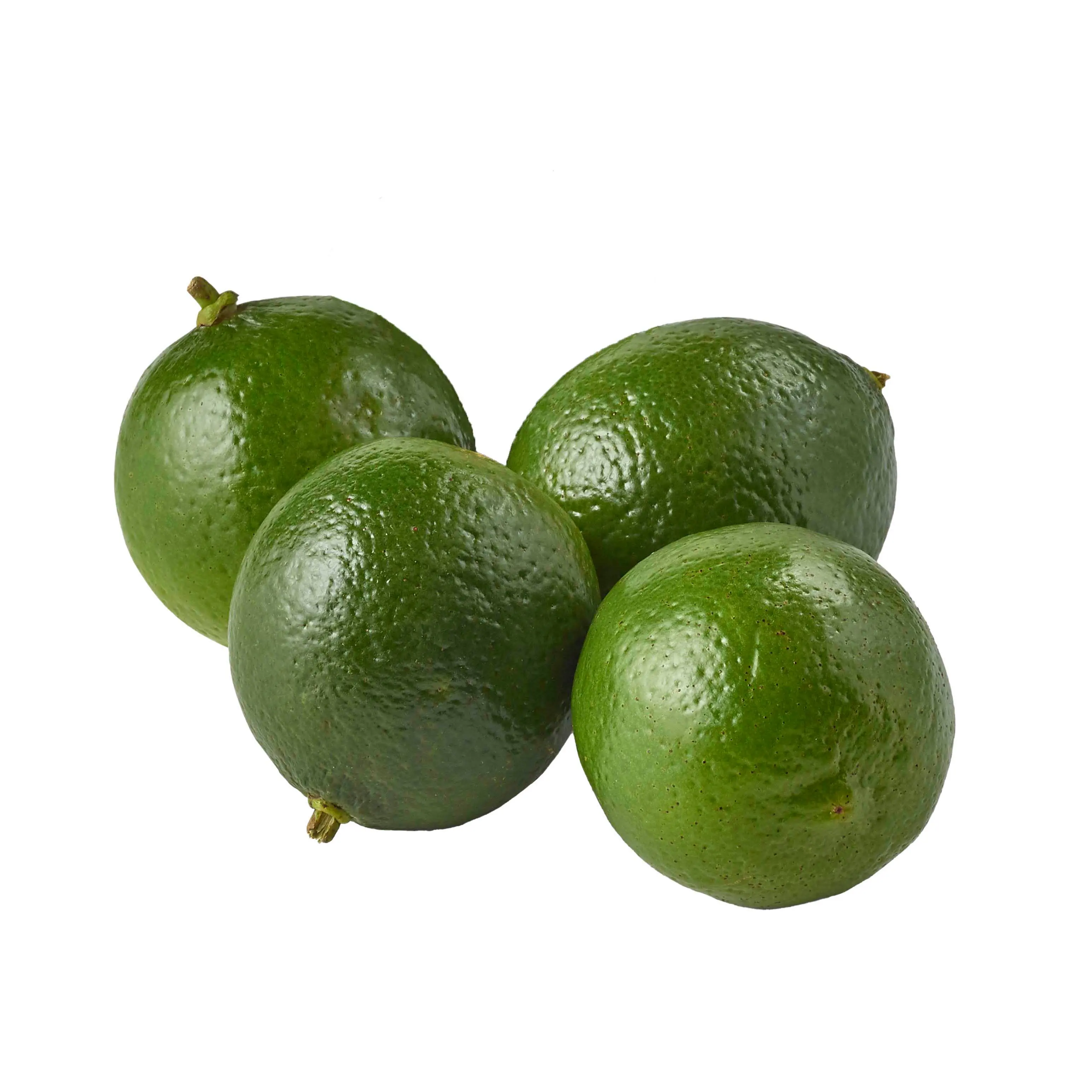 Wholesale Organic Green Lemon GREEN LIME SEEDLESS LIME