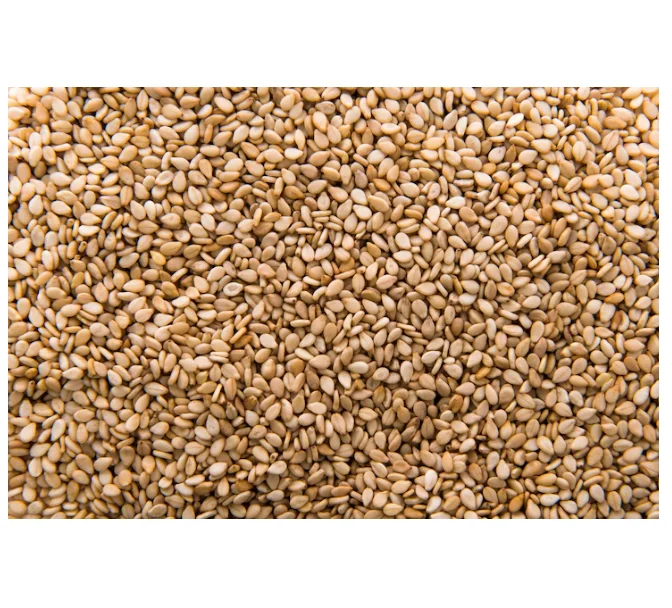 Mondol - Black ,Brown, White, Class A Sesame Seeds For Food And Sesame Oil - Bangladesh Origin