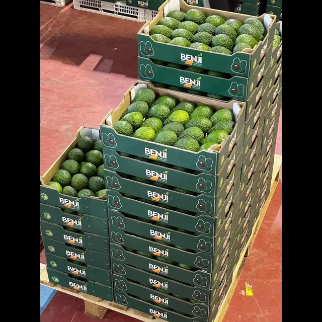 Wholesale export buyers fresh fruit pulp products import prices avocados