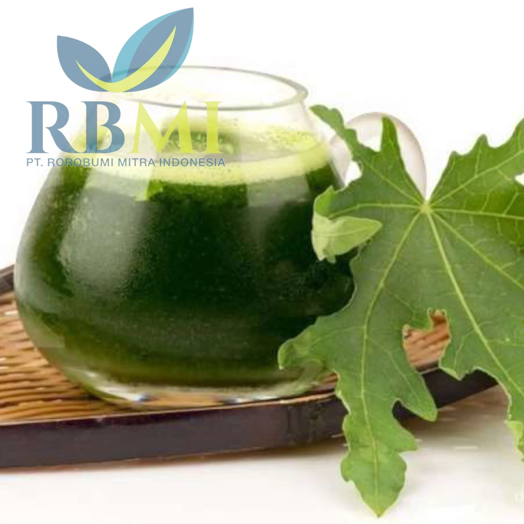 Export High Quality Papaya Leaf/ Papaya Flower for Wholesale/ Dried Papaya Flower