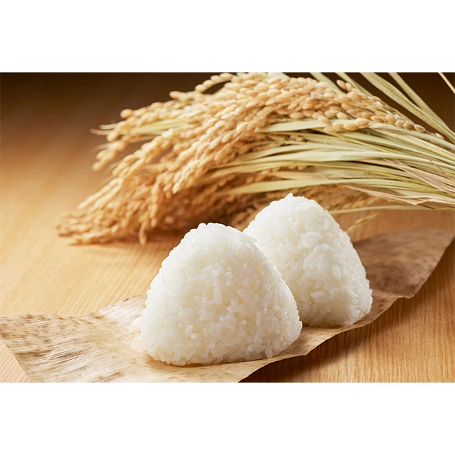 Japanese Wholesale Supplier Top Selling Easy Packed Cooked Rice