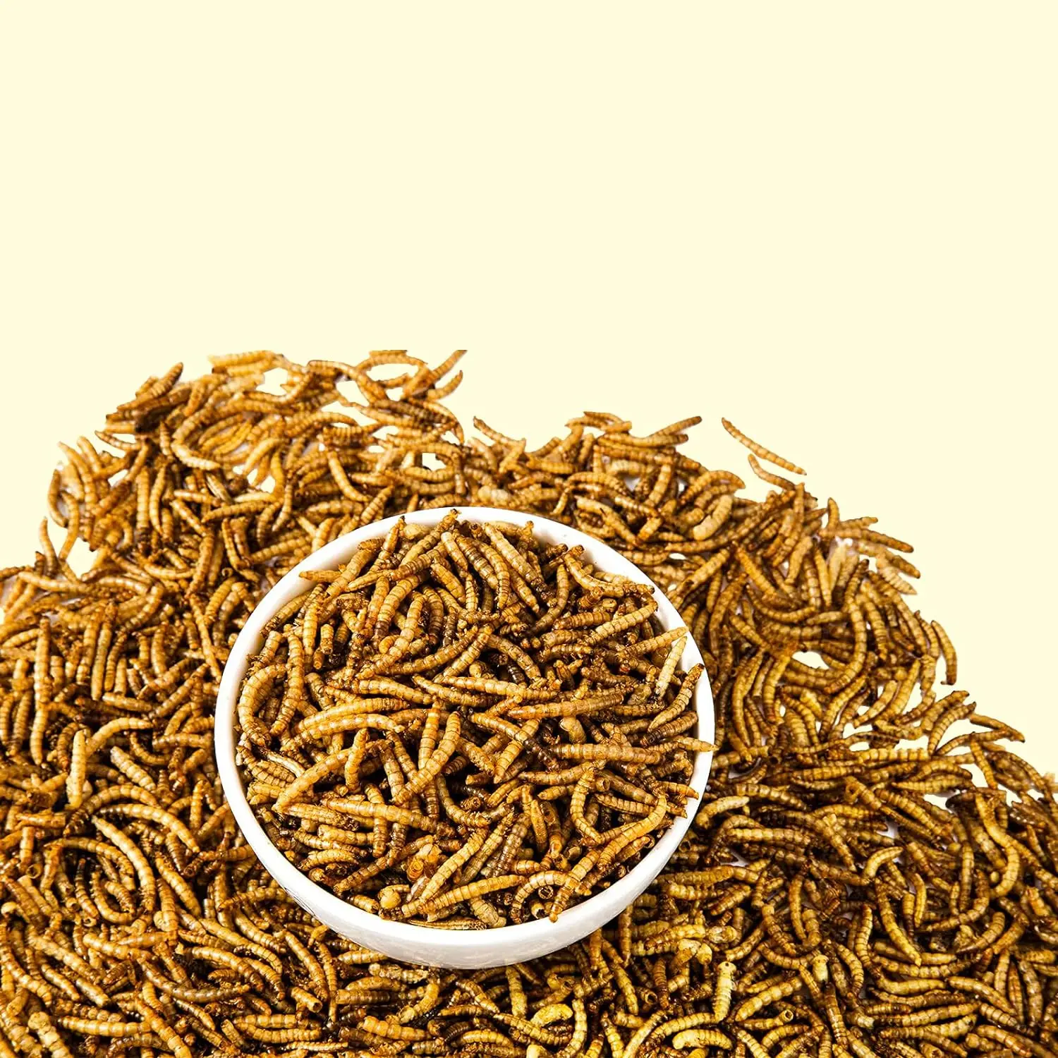 buy wholesale  Dried Mealworms for Chickens, High Protein Meal Worms, Premium Chicken Feed in bulk