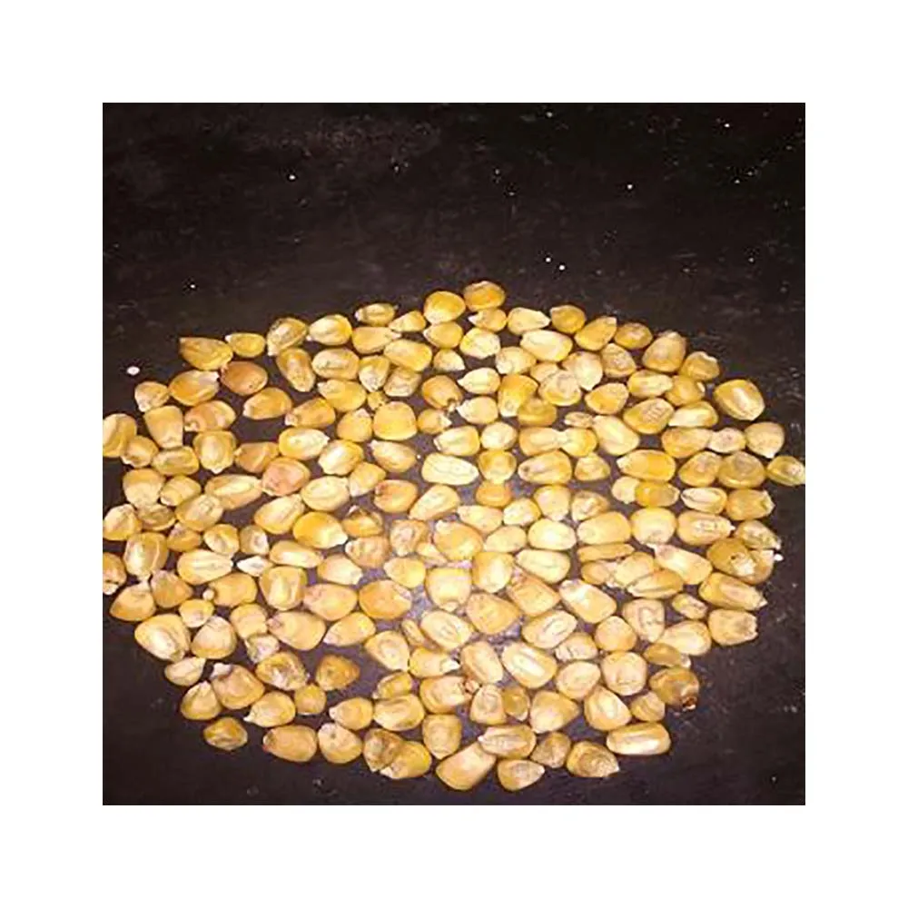 Yellow Corn & White Corn