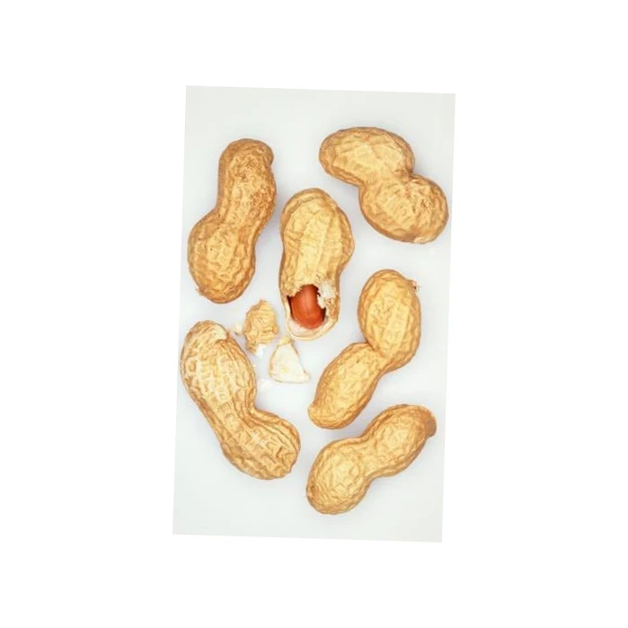 High Quality Raw Peanuts Without Shell Raw Peanuts Peanuts Peanut Harvester Agriculture True Moringa USA