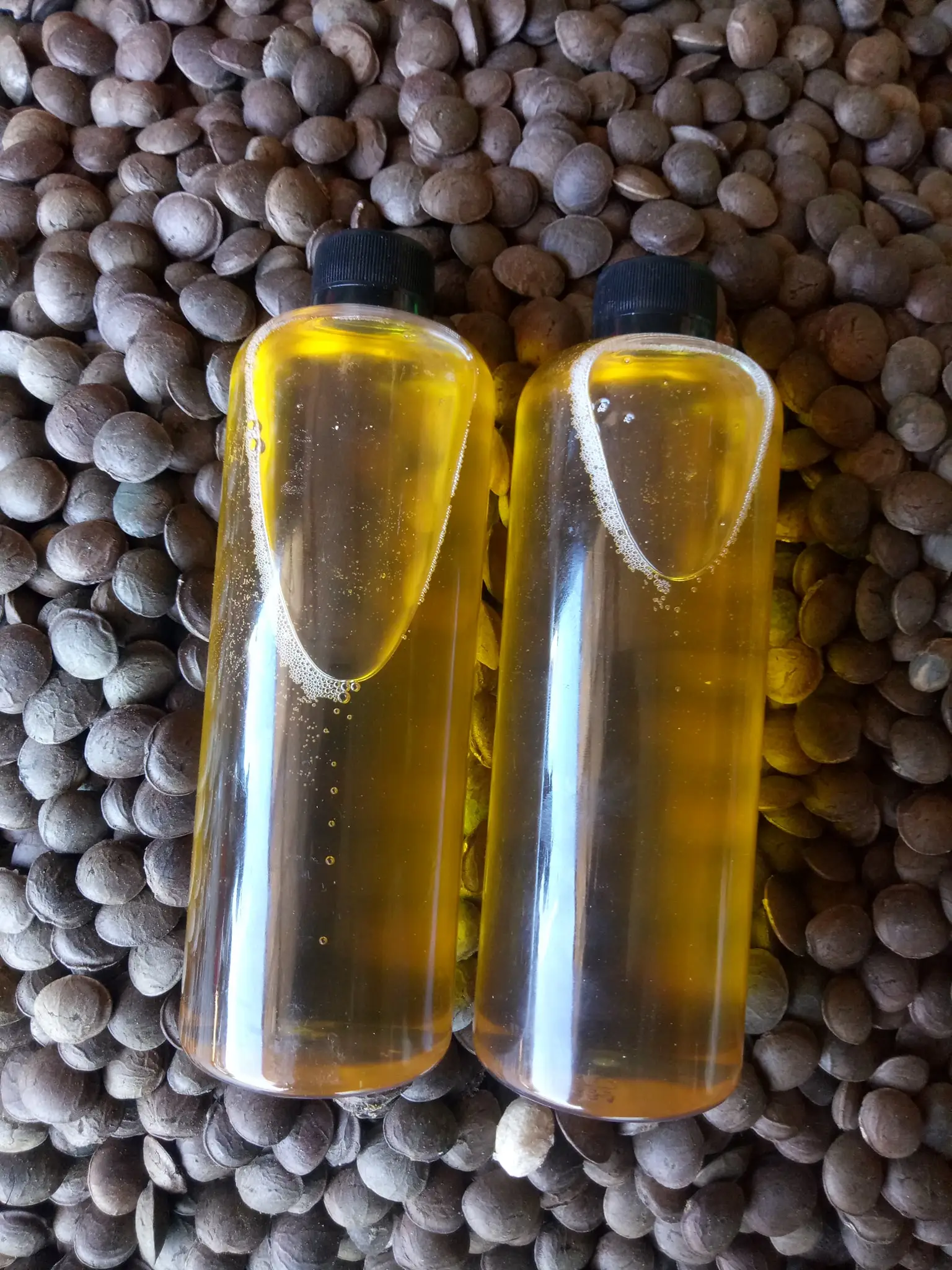 Органическое Масло Сача-инчи хорошего сорта масло Инчи с инками экстра-девственницы Омега 3/мс. Лима (+ 84) 346565938