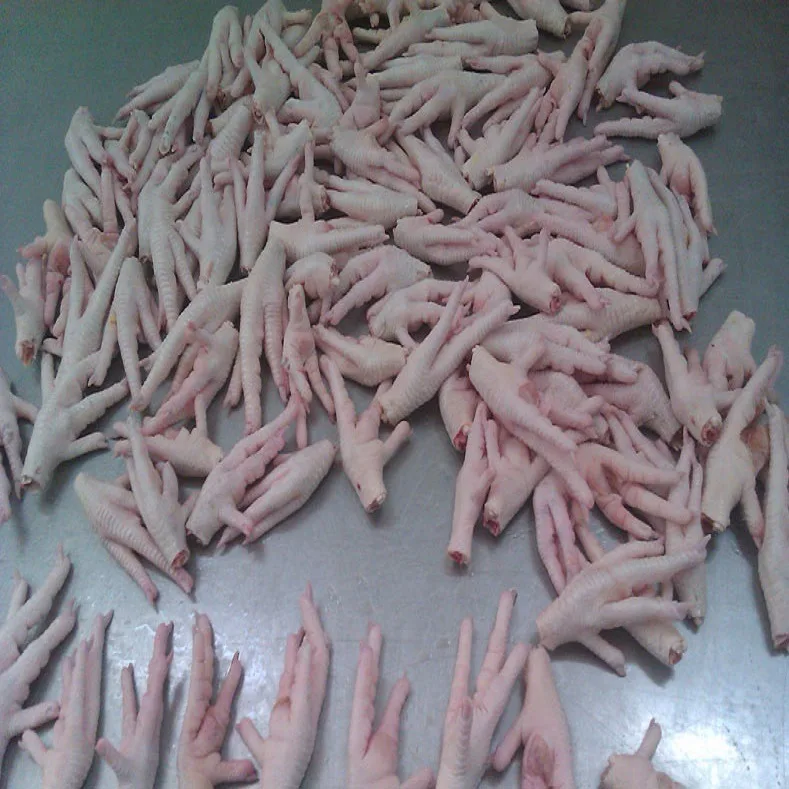 FROZEN CHICKEN FEET & PAWS / HALAL CERTIFIED CHICKEN / BREAST / DRUM STICK