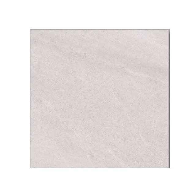 OEM Private Label 600X600 MM Modern Porcelain Ceramic Tiles Solid Pattern Non-Slip for Floor Decoration