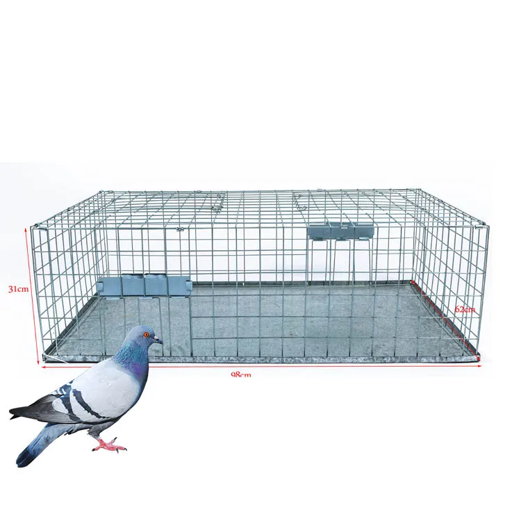 Humane Portable Pigeon trap Live Bird Trap Bird And Pigeon Cage Trap