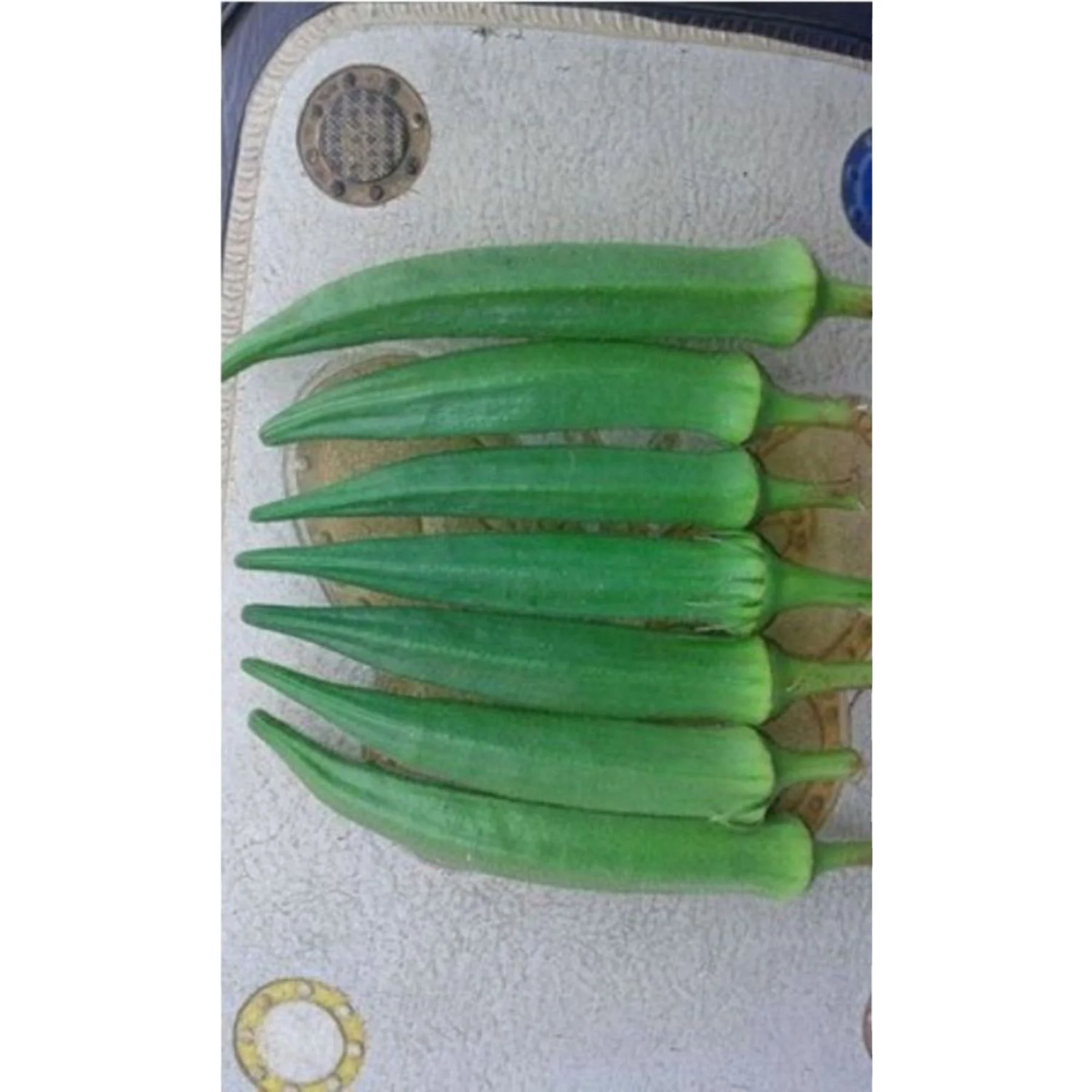 Okra Arka Anamika  fruit color