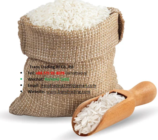 Storage Type Customized Packaging Glutinous paddy rice Vietnamese Long Grain Jasmine White Rice from Vietnam