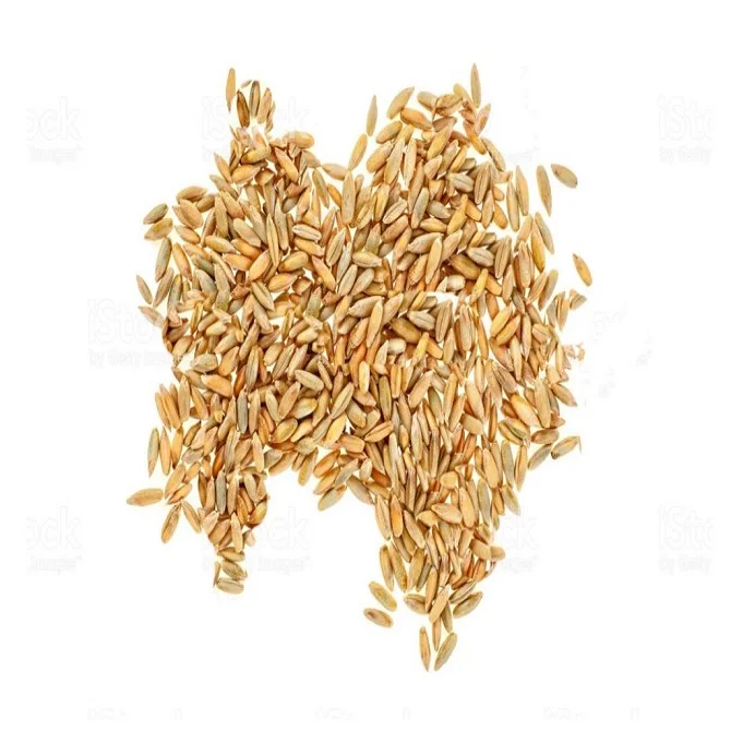 Organic Hard Red Spring Wheat | Milling Wheat Grain Bulk