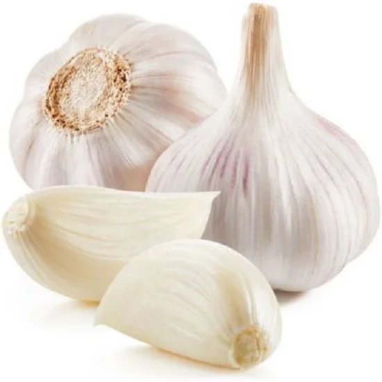 Premium Quality Fresh Garlic Pure White Best Market Price for Food Use