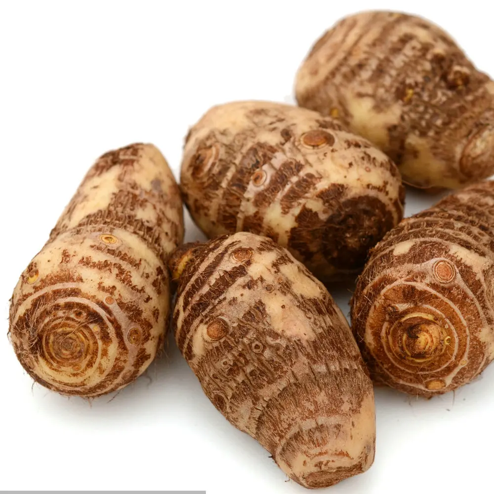 Amazing new crop of Chinese taro root factory supply fresh vegetables fresh and air Dried Taro frozen tar