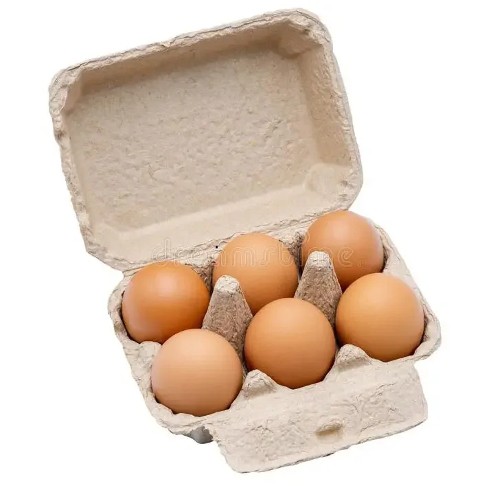 Свежие столовые яйца Бройлер инкубационные яйца Росс 308 и Кобб 500 куриные яйца
