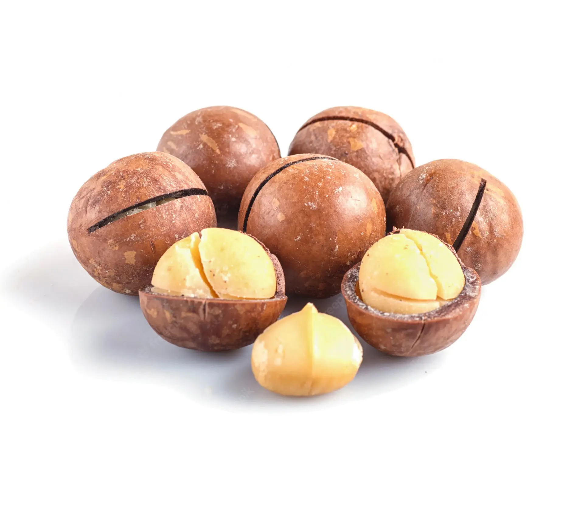 Good macadamia nuts New Crop Best Price Raw Organic Macadamia Nut Healthy Original Green Nuts