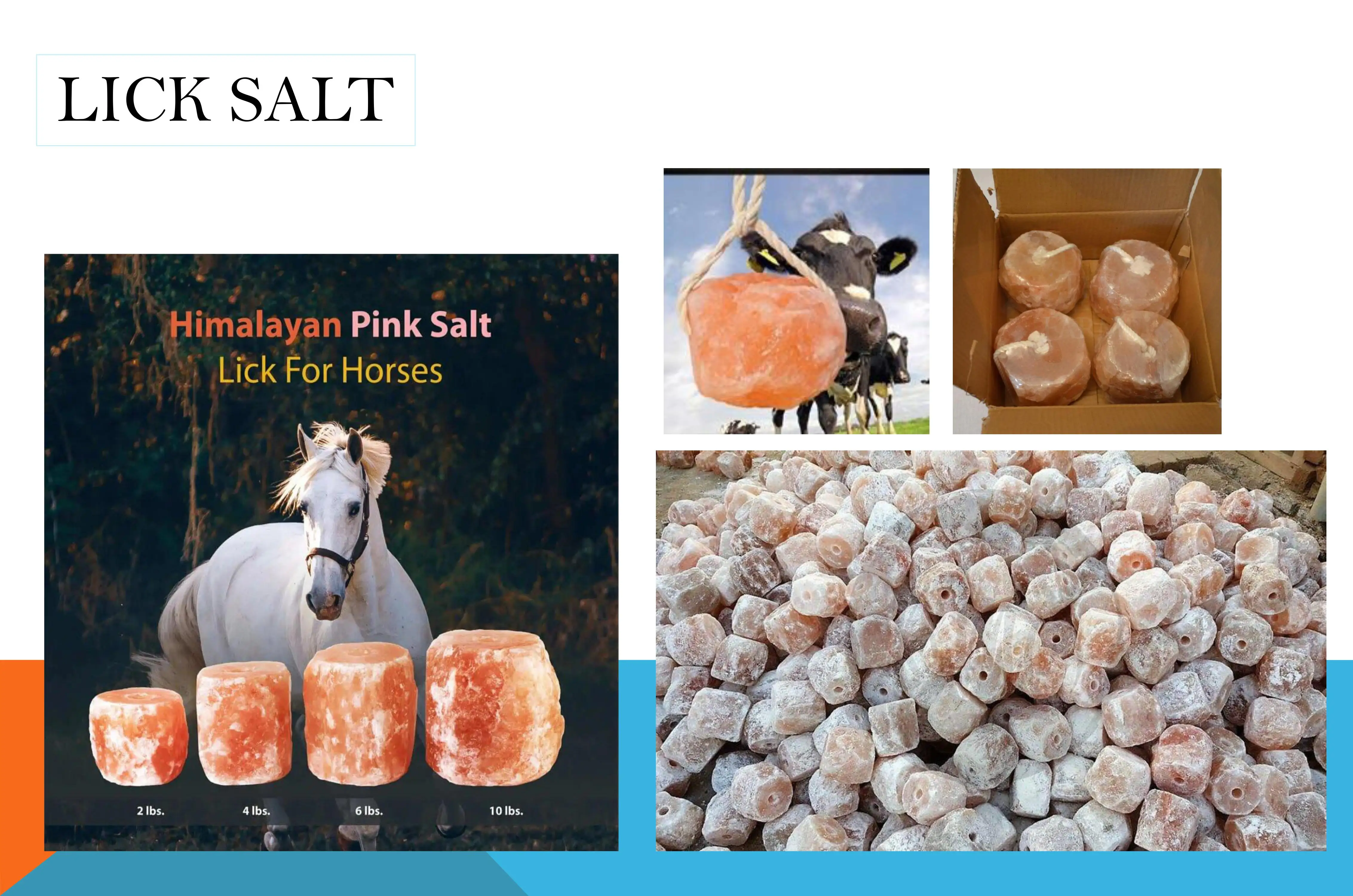 9 Animal Lick Salt.jpg