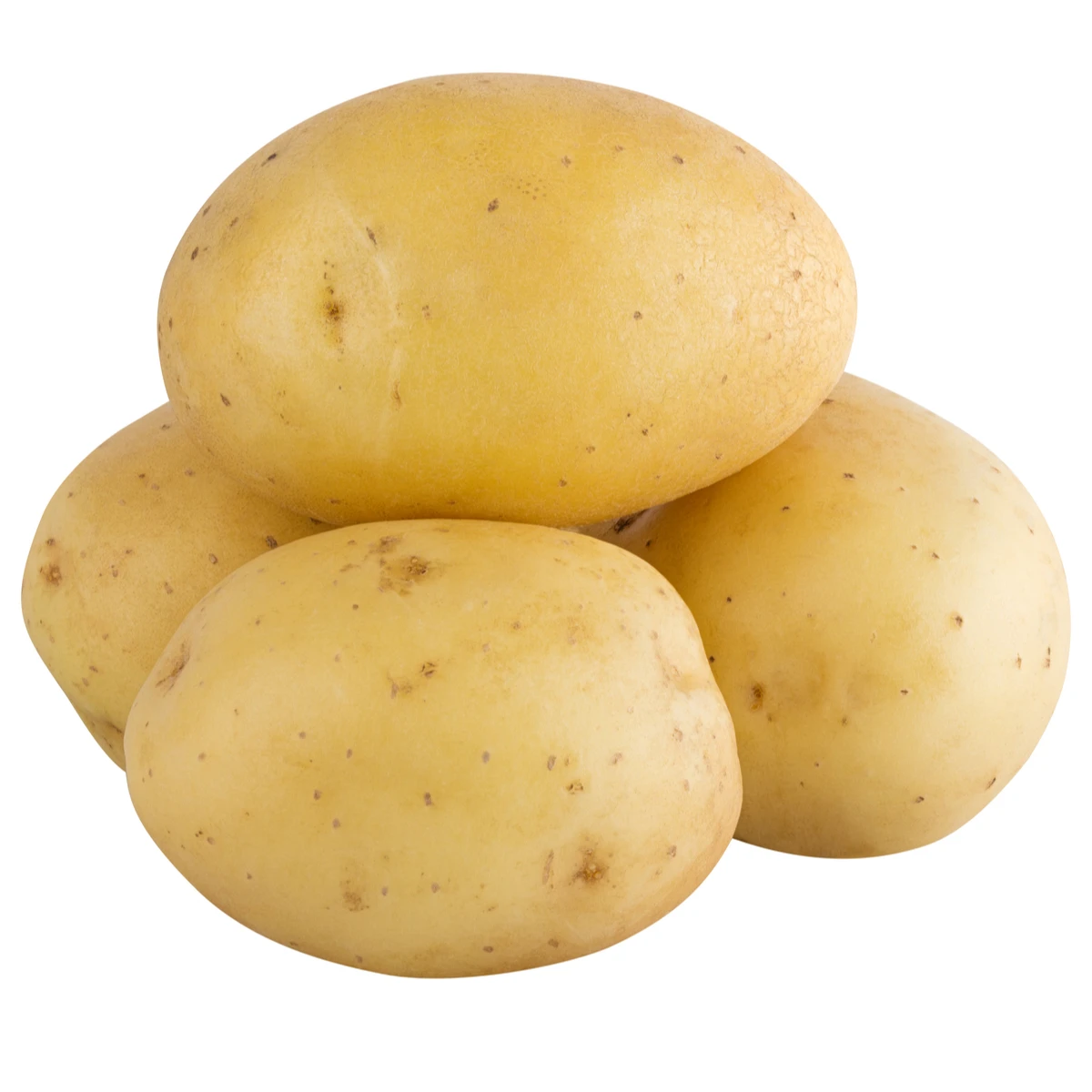 Potato fresh with high quality new crop per ton good price for wholesale fresh potato  professional export potato 2022 new fresh