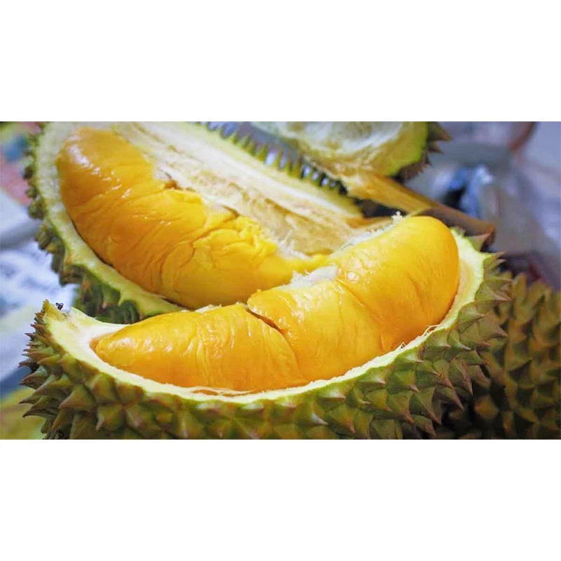 Wholesale High Quality Fresh D24 Durian (Paste) Aromatic Taste with Good For Making Pastry and Dessert Products