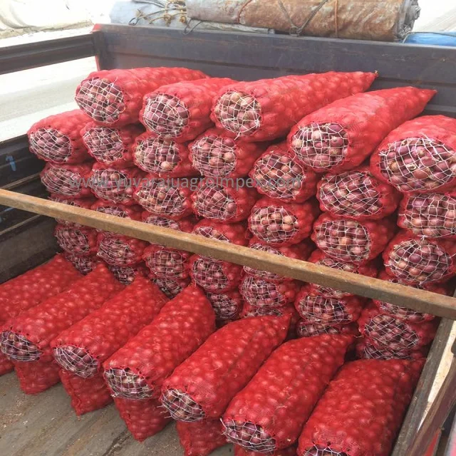 Beauty layer structure yellow shade big onion different flavor and texture of white red yellow big onion