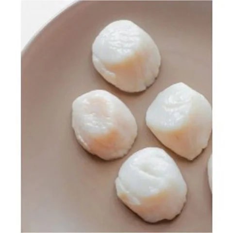 New Crop Frozen Scallop For Sale Frozen High Quality Scallop Meat | Affordable Popular shellfish export manufacturers frozen