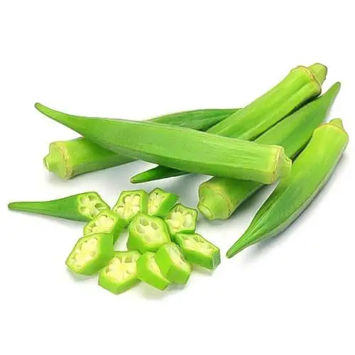 Fresh Frozen Okra Maturity From Philippines With Competitive Prices