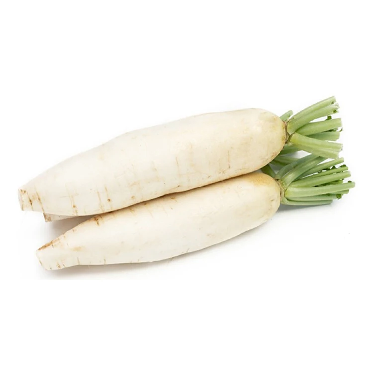 Bulk Stock Available Of Fresh Vegetables Radish At Wholesale Prices